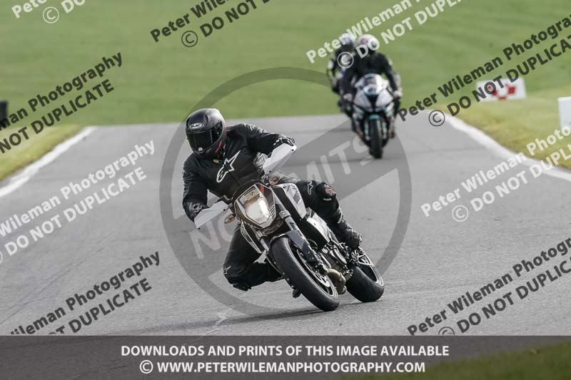 cadwell no limits trackday;cadwell park;cadwell park photographs;cadwell trackday photographs;enduro digital images;event digital images;eventdigitalimages;no limits trackdays;peter wileman photography;racing digital images;snetterton;snetterton no limits trackday;snetterton photographs;snetterton trackday photographs;trackday digital images;trackday photos